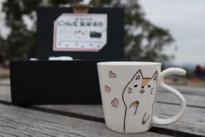 Cat NYANTA Mug For Cat Lover